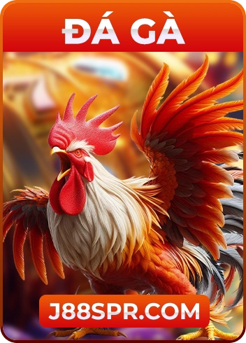 đá gà j88